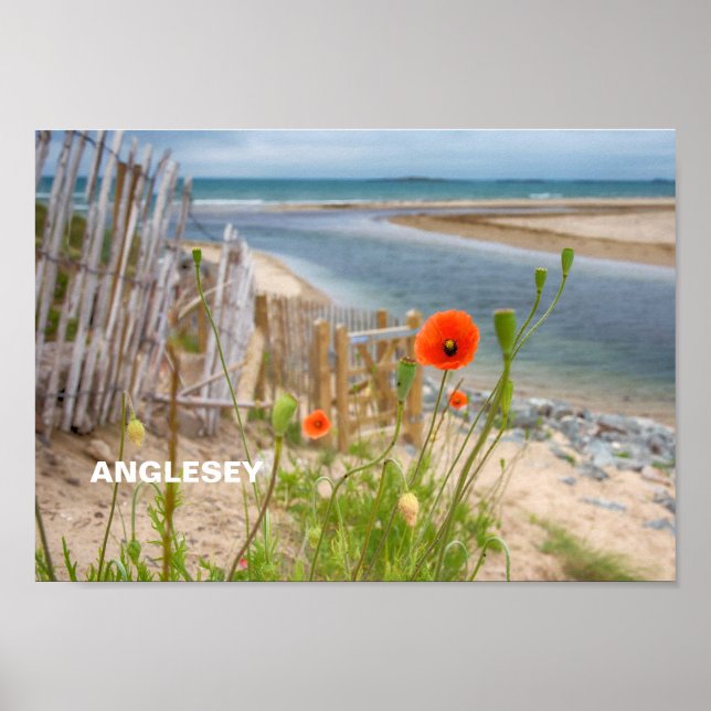 Anglesey Wales Landschaftlich View Beach and Wild  Poster (Vorne)