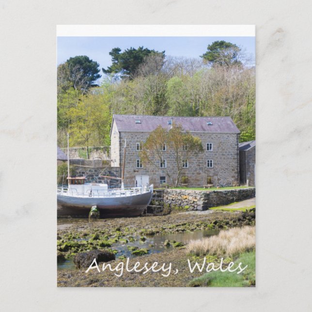 Anglesey, Wales Postkarte (Vorderseite)