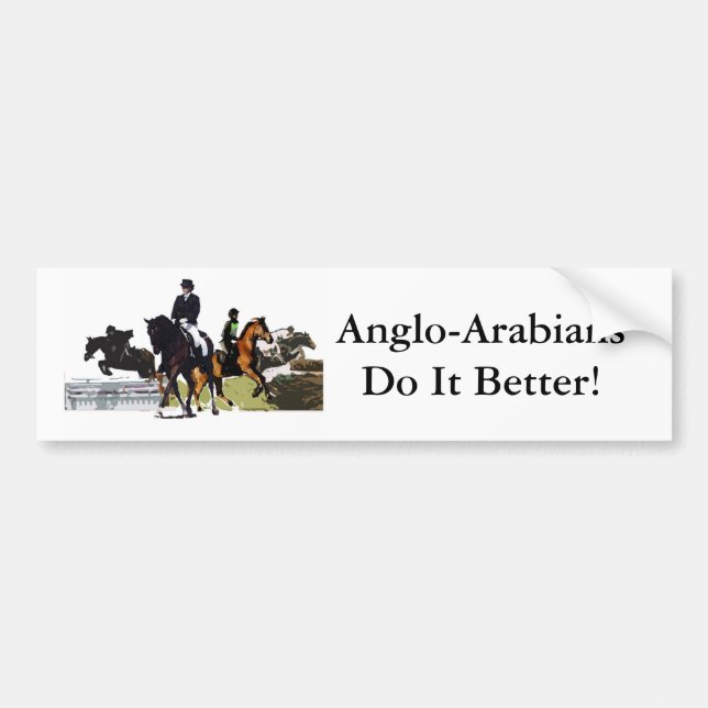 Anglo-Araber Autoaufkleber (Vorne)