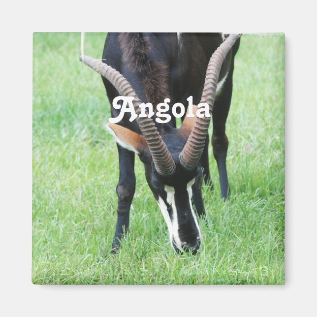 Angola Sable Antelope Magnet (Vorne)