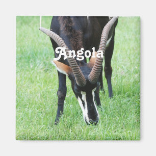 Angola-Zobel-Antilope Magnet