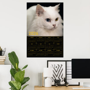 Angora-Katze mit Heterochromie – 2026 Kalender  Poster