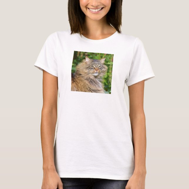 Angora-Katze T-Shirt (Vorderseite)