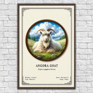 Angoraziege Zoologie Serie Poster