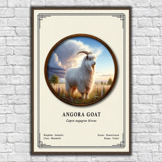 Angoraziege Zoologie Serie Poster (Von Creator hochgeladen)