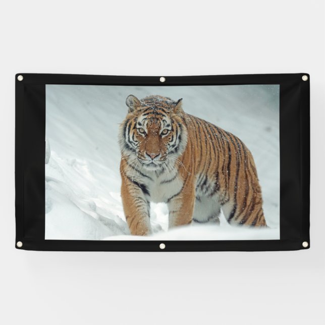 ANGRENZER-Banner Banner (Horizontal)