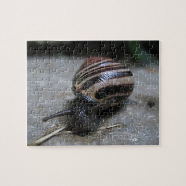 Angriff auf die riesige Schnecke Entspannende Selb Puzzle (Horizontal)