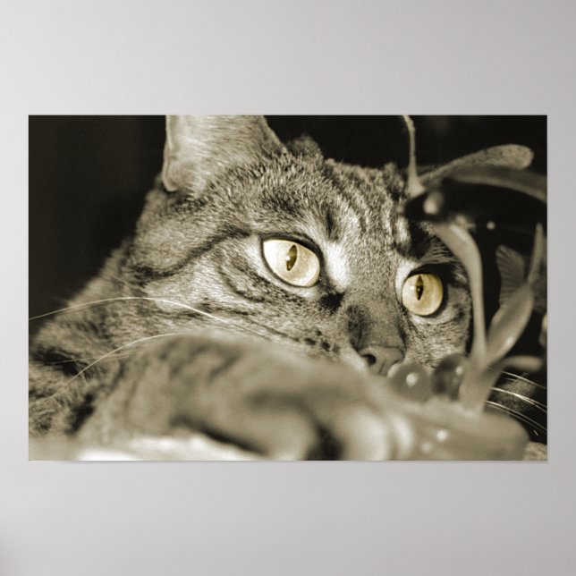 Angriff Poster (Vorne)