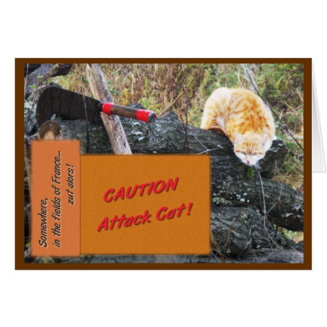 Angriffs-Katze (Vorderseite (Horizontal))