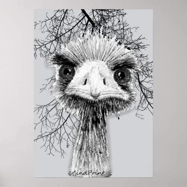 Angry Bird Poster (Vorne)