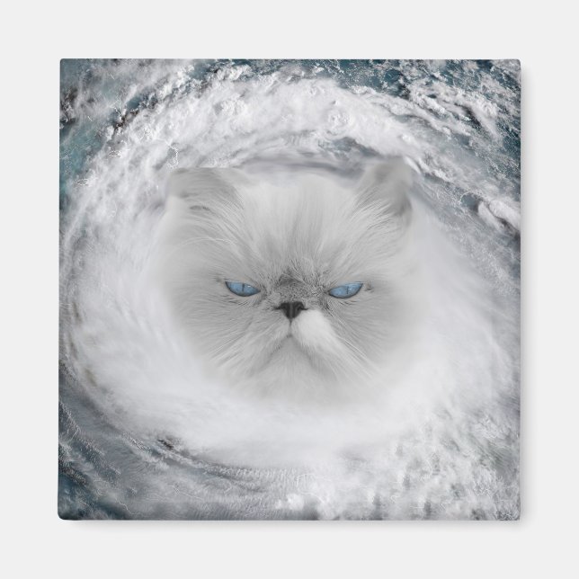 Angry Cat 5 Hurrikan Magnet (Vorne)