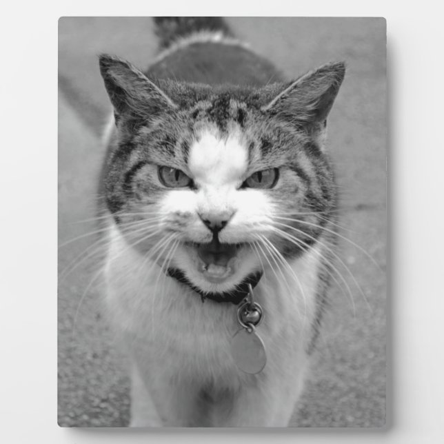 Angry Cat Fotoplatte (Vorderseite)