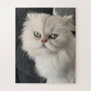 Angry Cat Funny Pet Puzzle