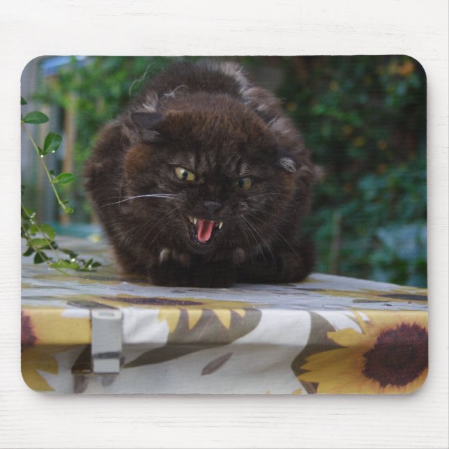 Angry Cat Mousepad (Vorne)