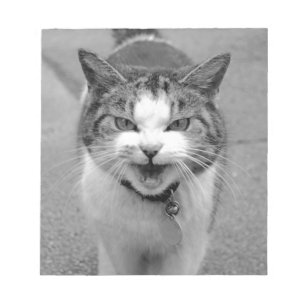 Angry Cat Notizblock