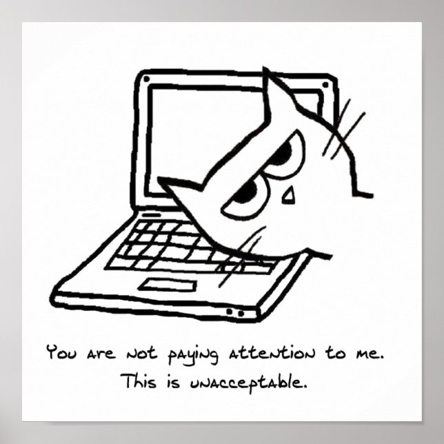 Angry Cat verlangt Aufmerksamkeit Poster (Vorne)