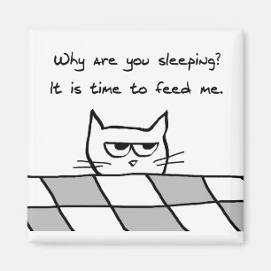 Angry Cat Will Ihnen aus dem Bett Magnet
