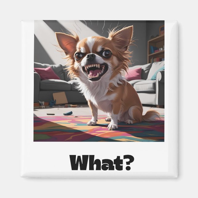 Angry chihuahua magnet (Vorne)