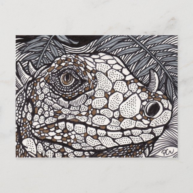 Angry Iguana Postkarte (Vorderseite)