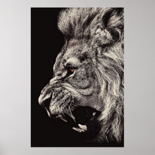 Angry Male Lion Poster