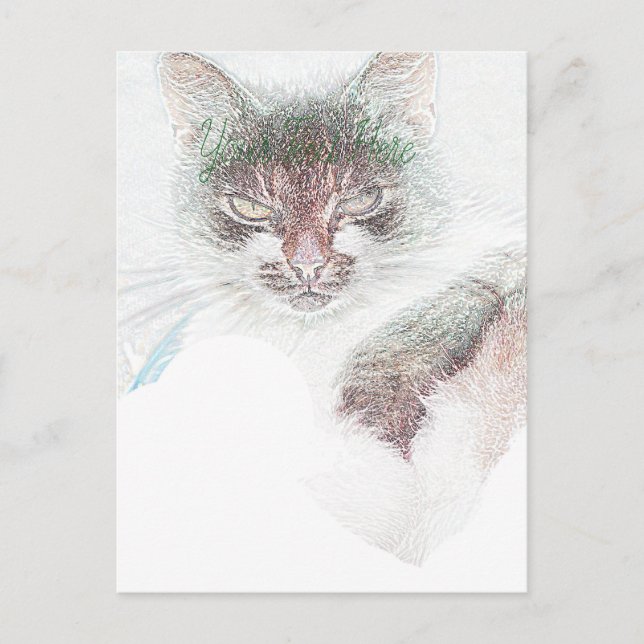 Angry Niedlich Cate Face Sketch Postkarte (Vorderseite)