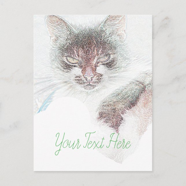 Angry Niedlich Cate Face Sketch Postkarte (Vorderseite)
