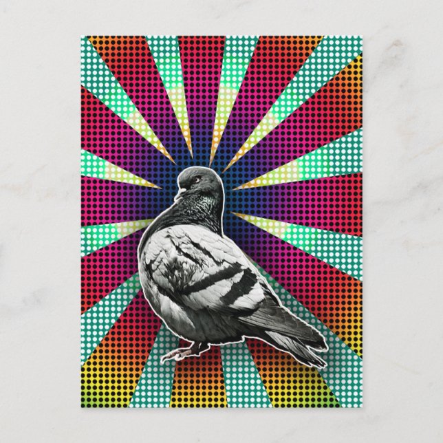 Angry Pigeon Postcard Postkarte (Vorderseite)