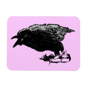 Angry Raven in Black Pick Your Background Magnet