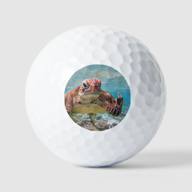 Angry-Schildkröte Golfball (Vorderseite)