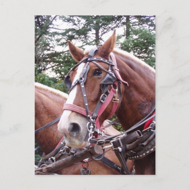 Angst Postkarte (Vorderseite)