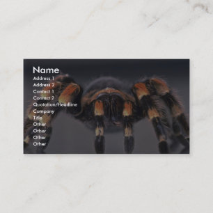Angstauslösende Tarantel-Spinne Visitenkarte