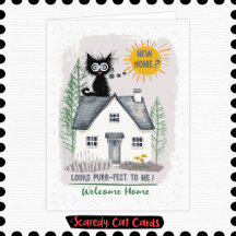 Angstkatze Neues Zuhause