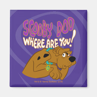 ängstlich Scooby-Doo Magnet