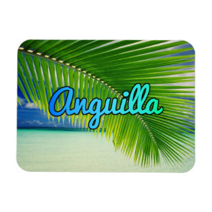 Anguilla Magnet