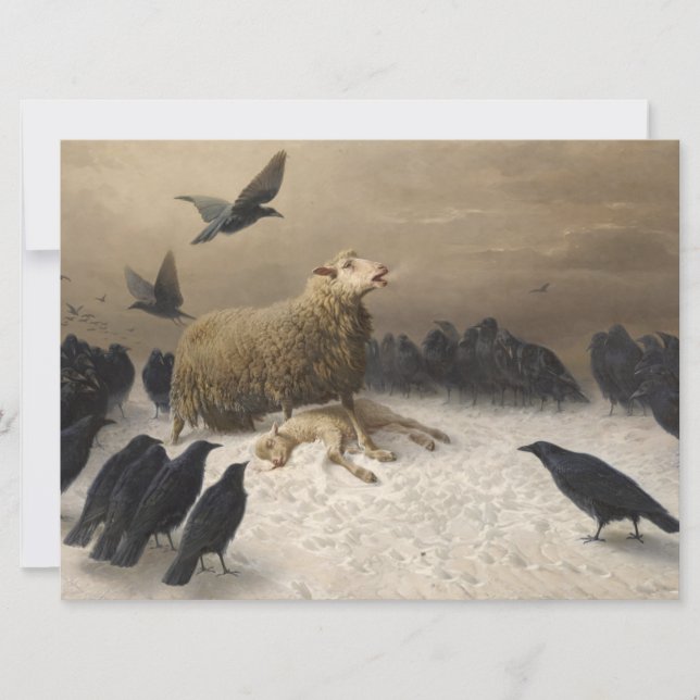 Anguisch: Schafe mit einem toten Lamm Karte (Vorderseite)