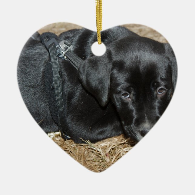 Angus Keramik Ornament (Vorne)