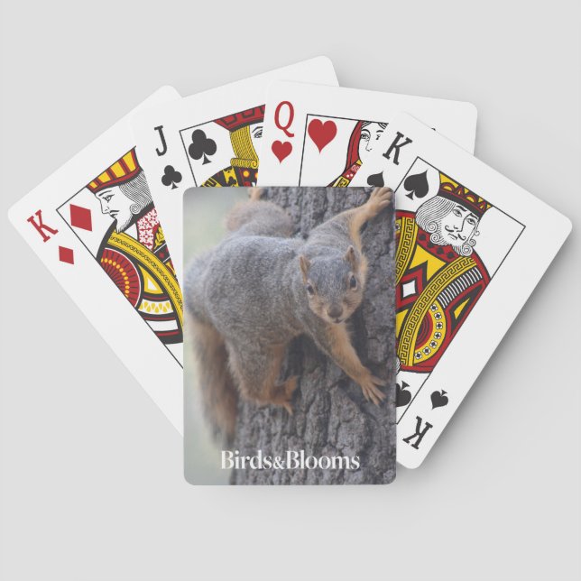 Anhaftendes Eichhörnchen Spielkarten (Rückseite)