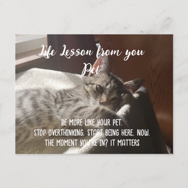 Anhalten Sie selbst daran, die Karte für Lebensläu (Vorderseite)