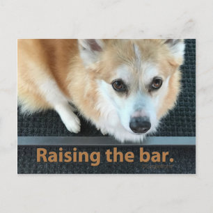 Anheben der Bar Corgi-Postkarte Postkarte