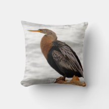 Anhinga auf der Lauer