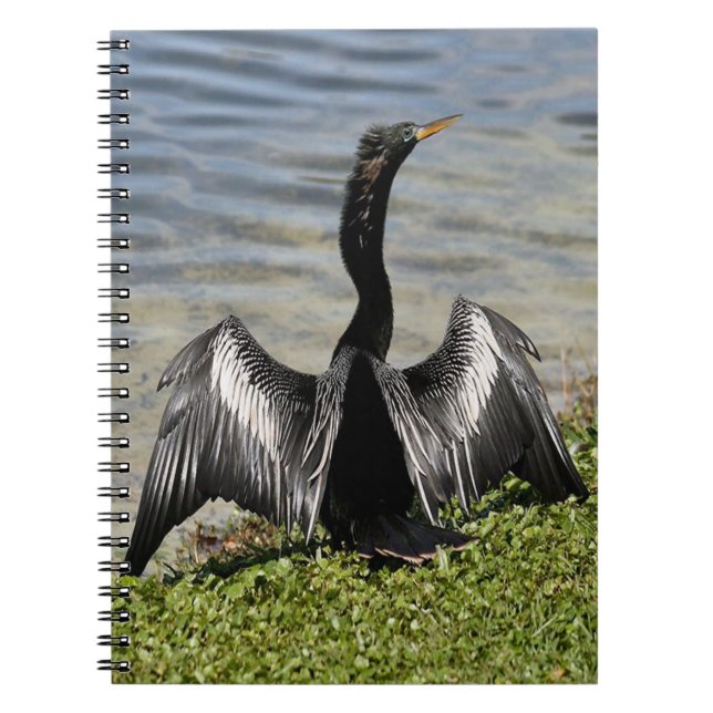 Anhinga Bird-Notebook Notizblock (Vorderseite)