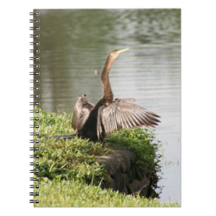 Anhinga Bird Spiral Foto Notebook Notizblock