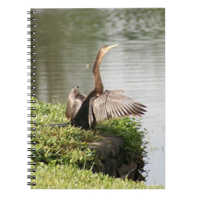 Anhinga Bird Spiral Foto Notebook Notizblock (Vorderseite)