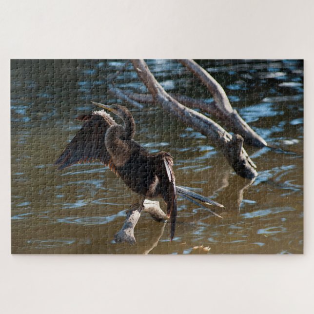 Anhinga Puzzle (Horizontal)