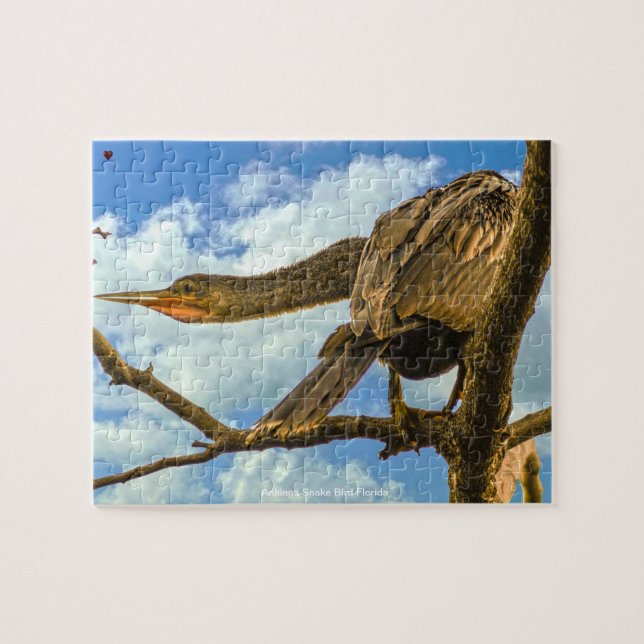 Anhinga Snake Bird Florida Puzzle (Horizontal)