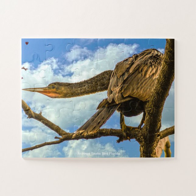 Anhinga Snake Bird Florida Puzzle (Horizontal)