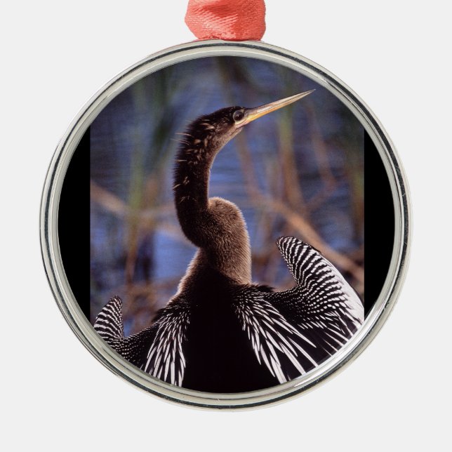 Anhinga und Flügel Silbernes Ornament (Vorne)