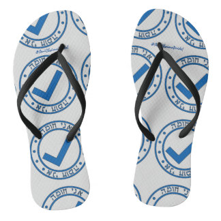 AniChoimaPride FlipFlops 2