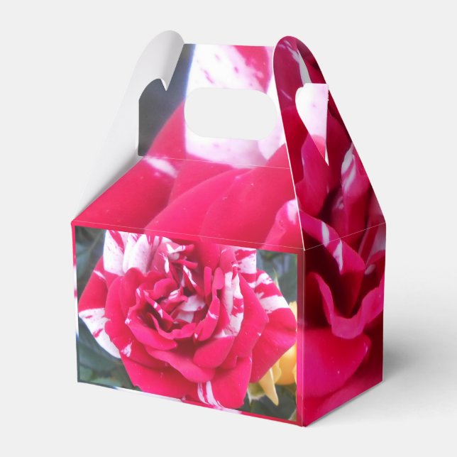 Anicia Geschenkschachtel (Rückseite)