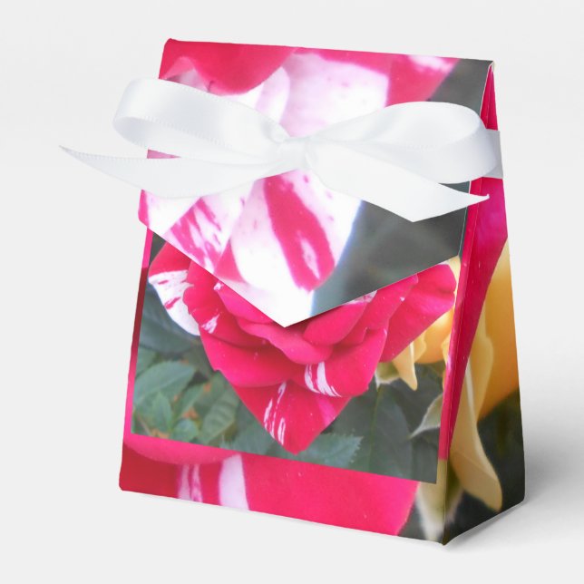 Anicia Geschenkschachtel (Vorderseite)